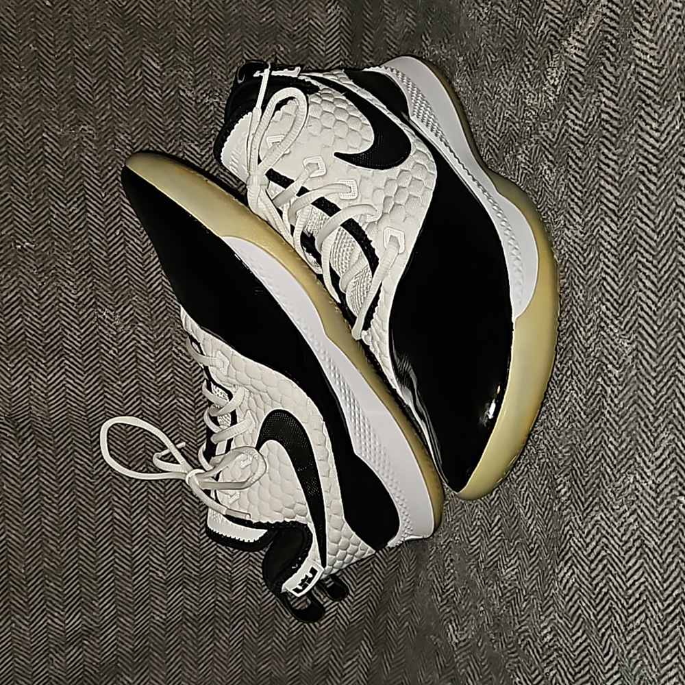Nike Air LeBron Witness 3 Premium Concord Basketball Shoes